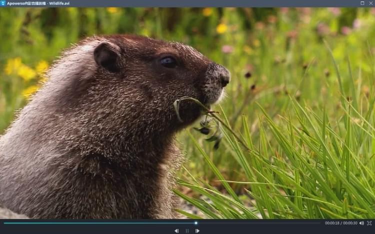 影片转换王1.1.1.2