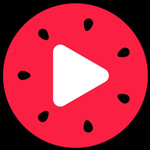 《西瓜视频》电脑版