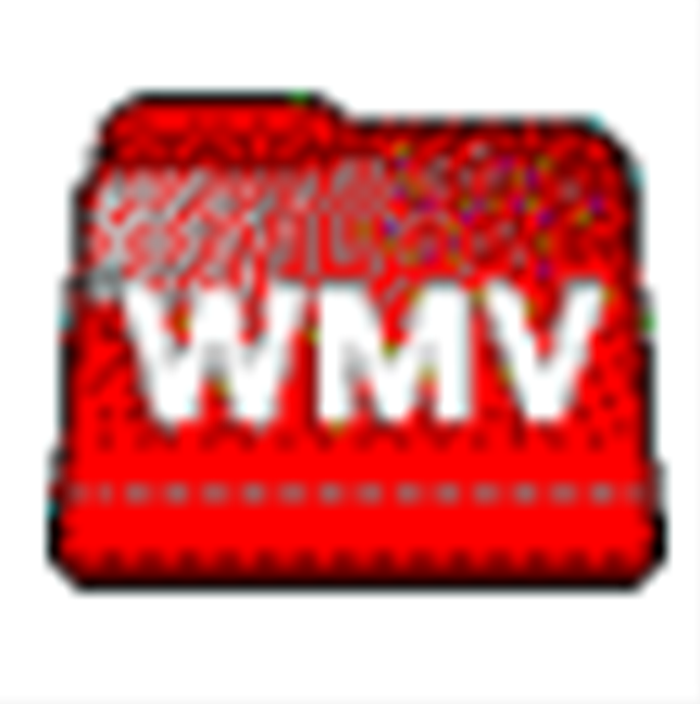 枫叶WMV视频格式转换器v14.1.0.0