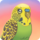 鸟类世界游戏(Bird Kind)