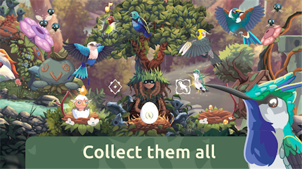 鸟类世界游戏(Bird Kind)