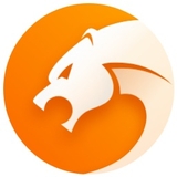 猎豹浏览器9.0.112.22579