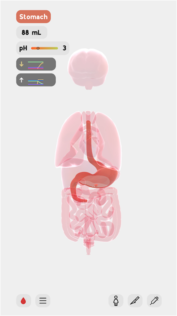 生命life手游中文版