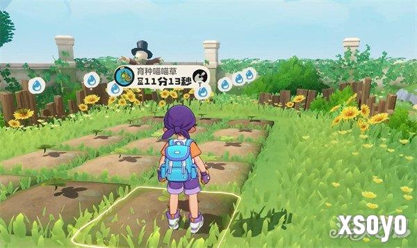 洛克王国世界家园偷菜怎么玩2