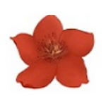 小红花直播音效助手PC版