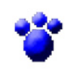 打字高手免费版