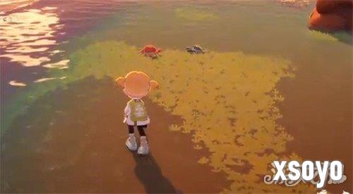 星布谷地螃蟹怎么捕捉2