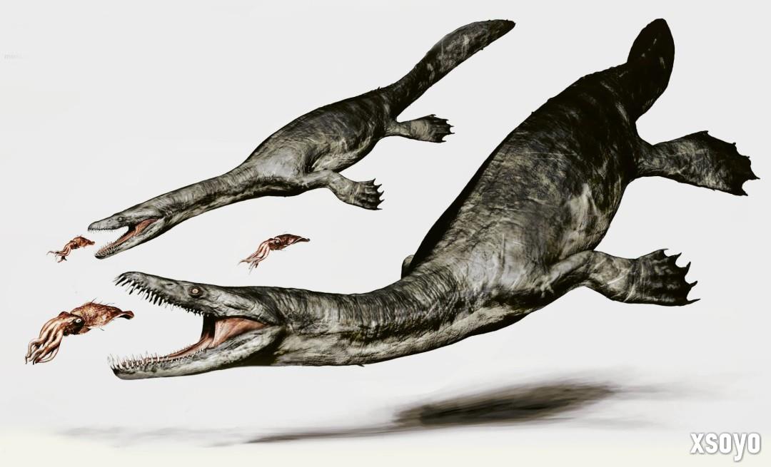 恐龙FPS《蛮荒计划》发售日宣传片 12月5日发售