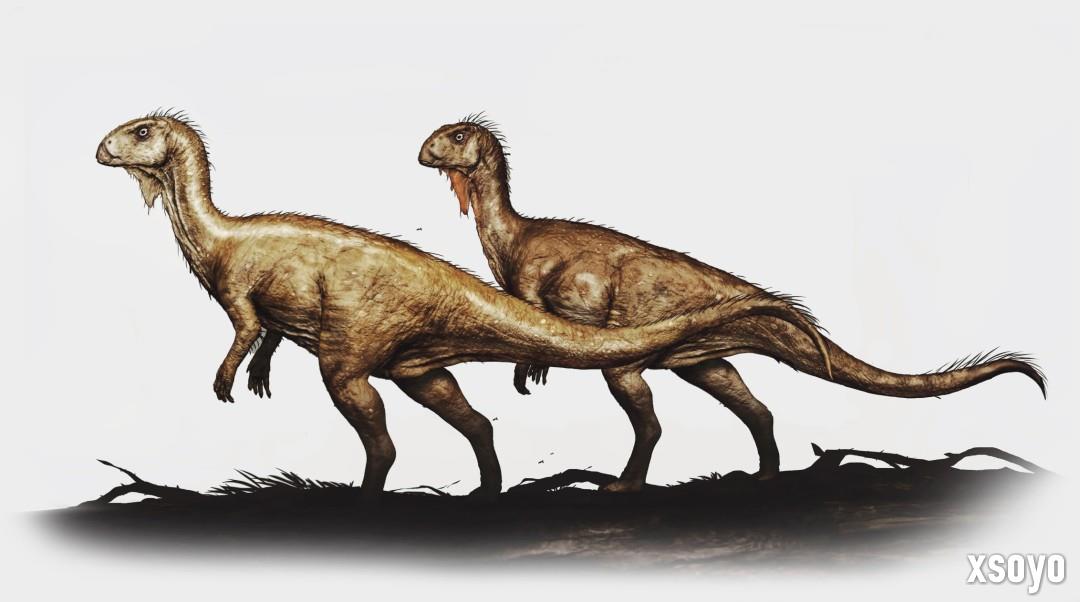 恐龙FPS《蛮荒计划》发售日宣传片 12月5日发售