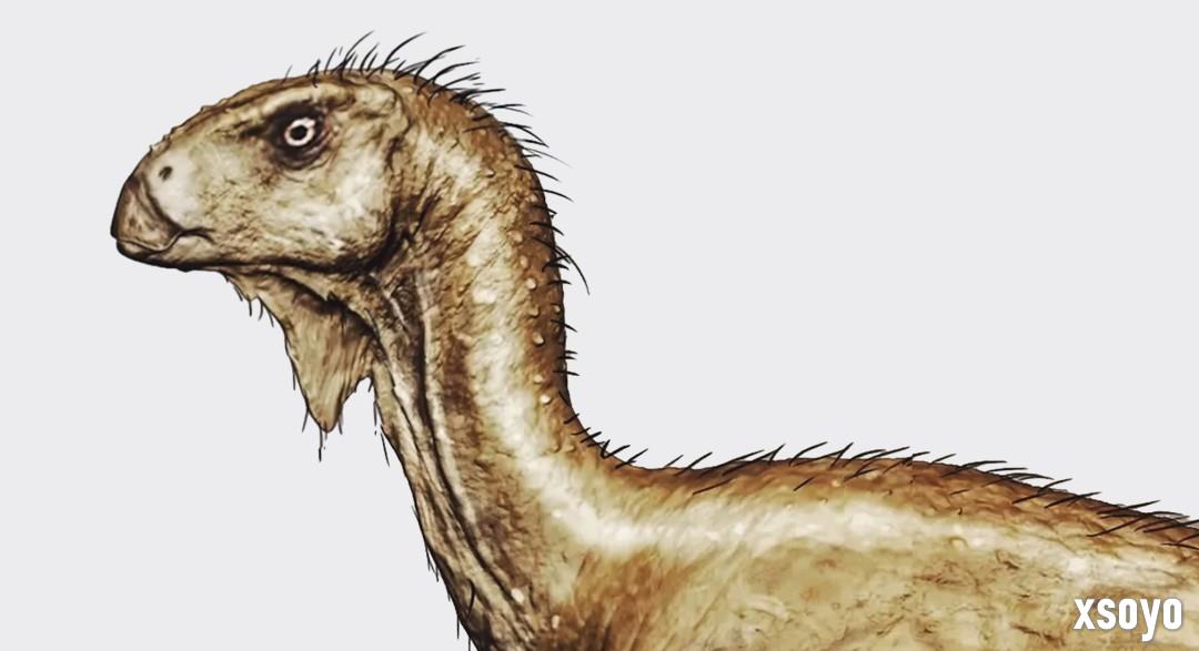 恐龙FPS《蛮荒计划》发售日宣传片 12月5日发售