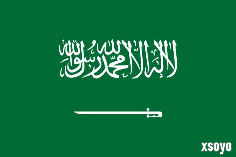 550亿美元收购EA后 沙特公投基金面临现金短缺