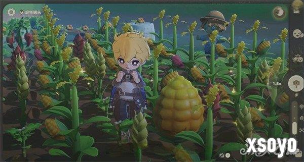 星布谷地变异果实怎么获取1