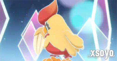 洛克王国世界晕晕鸡怎么样3