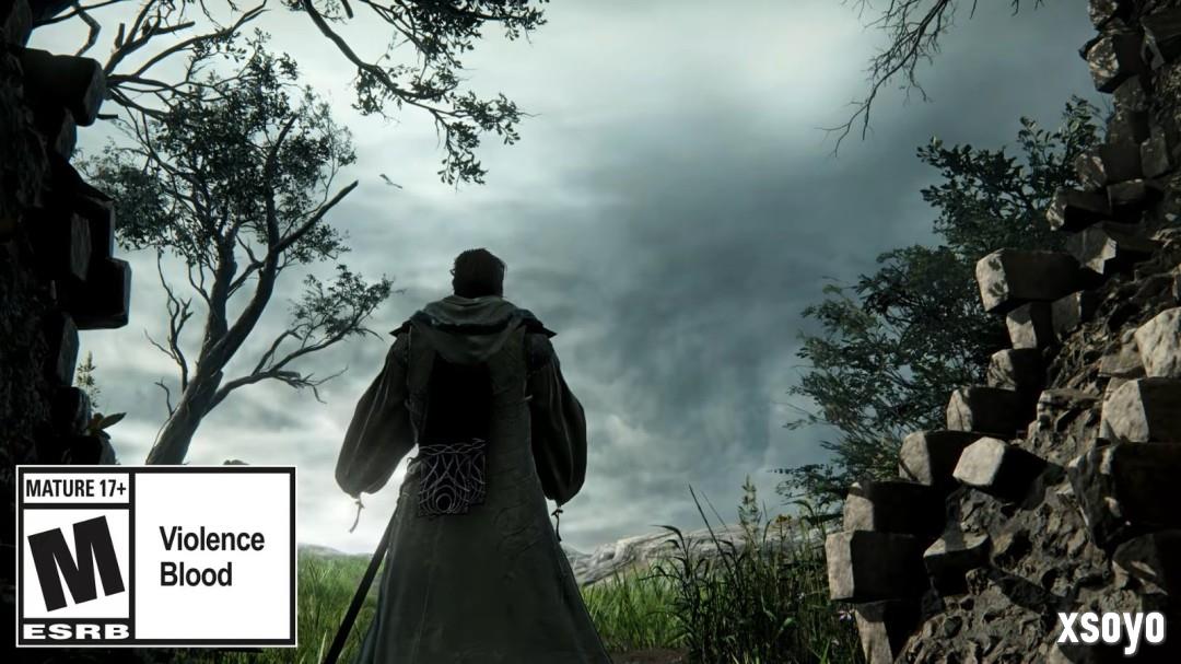 《艾尔登法环：黑夜君临》DLC新职业“学者”预告