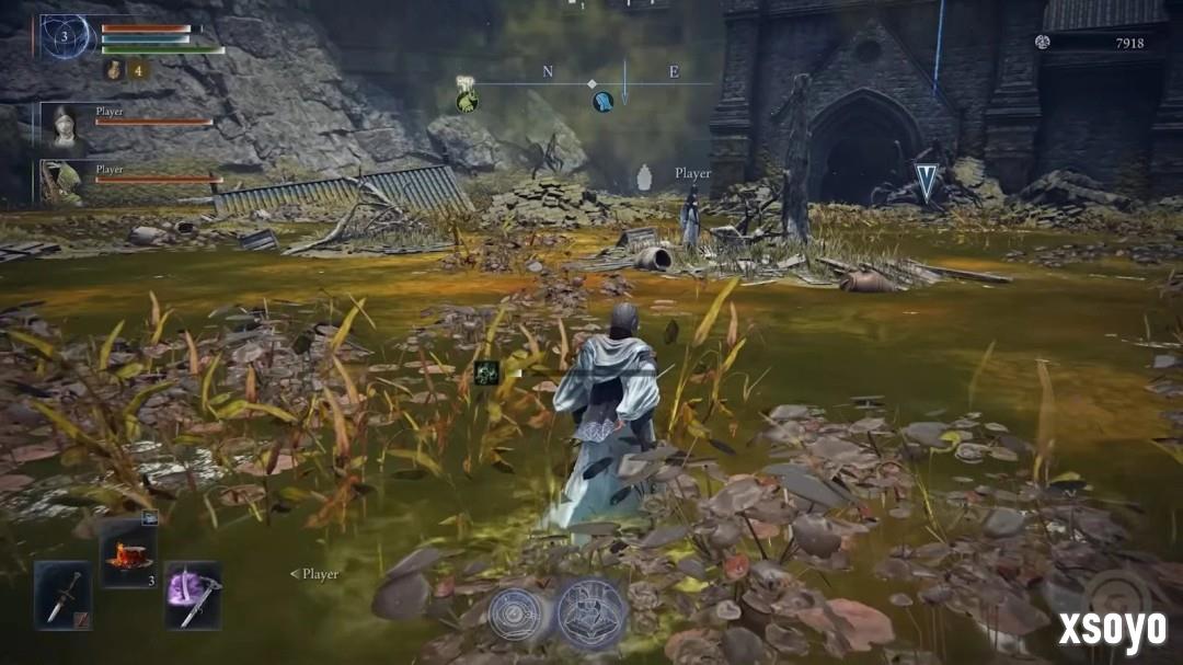 小高的“粪坑”还是回来了！ 《艾尔登法环：黑夜君临》新DLC将实装毒沼地形