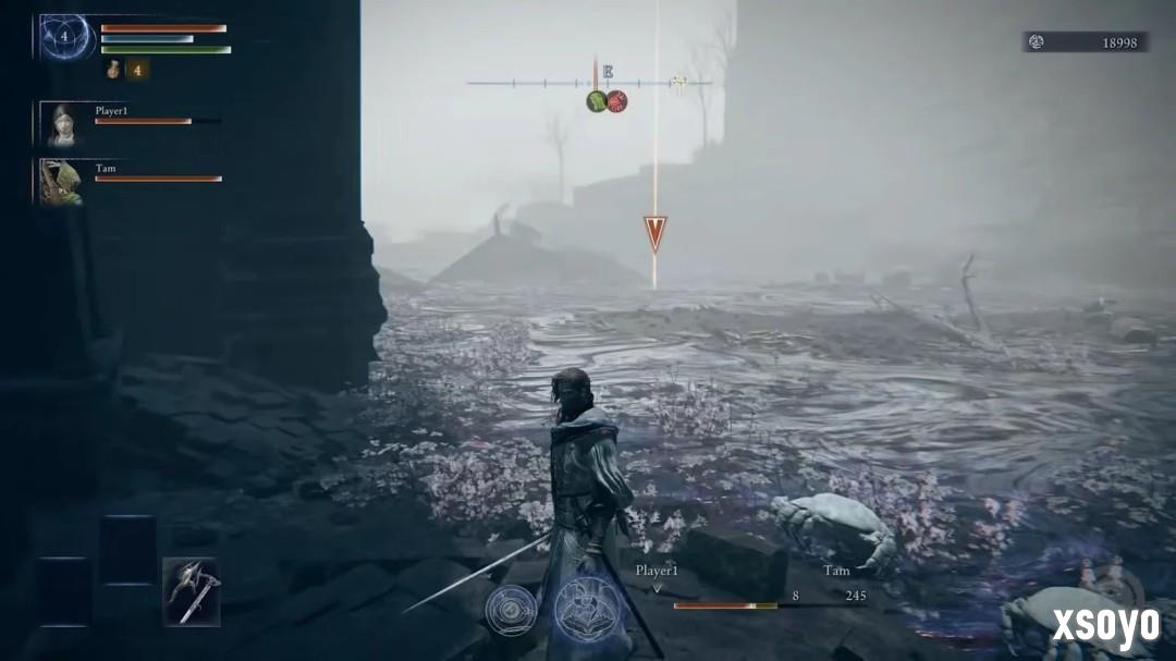 小高的“粪坑”还是回来了！ 《艾尔登法环：黑夜君临》新DLC将实装毒沼地形