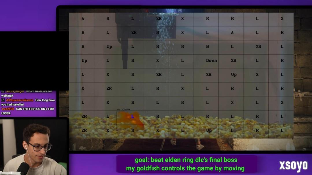 真神陨落 那条击败了《黄金树幽影》最终BOSS的金鱼去世了