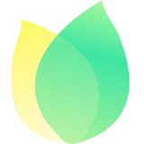 飞火动态壁纸2.4.1.0