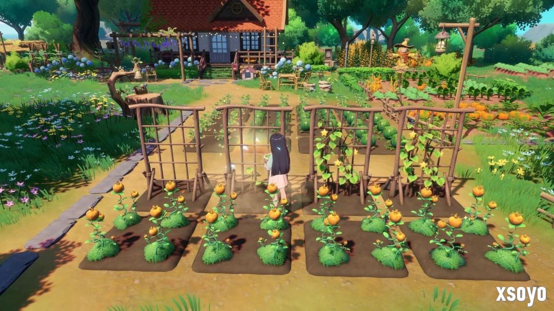 《星砂岛》宣布明年同步推出Switch2版 并提供性能与画质两种模式