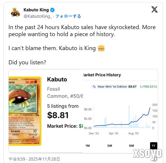 玩家专注收集宝可梦卡牌初代独角仙 囤货居奇价格暴涨