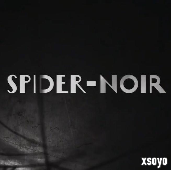 尼古拉斯·凯奇主演！《暗影蜘蛛侠》首张海报曝光