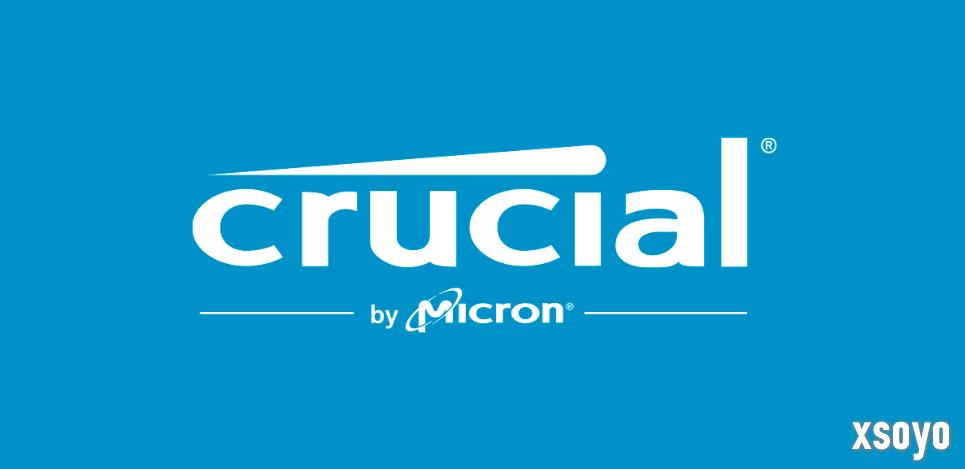 内存硬盘价格或更疯狂！存储巨头美光宣布退出消费级市场