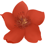 小红花音效助手v16.2.9